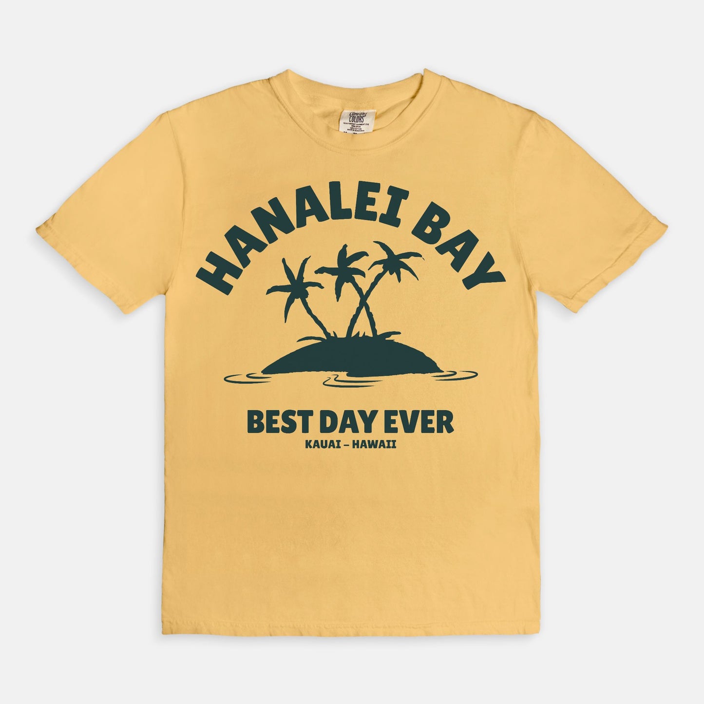 Palm Trees Hanalei Best Day Ever